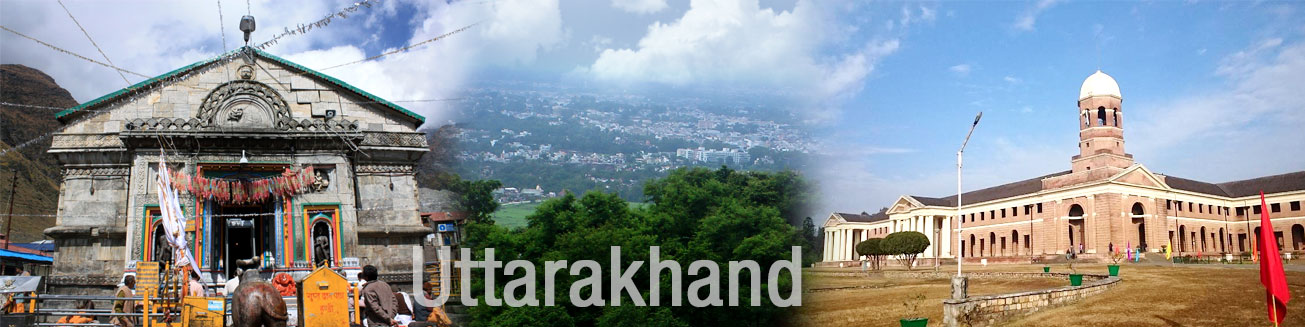 DBT Banner Image 1