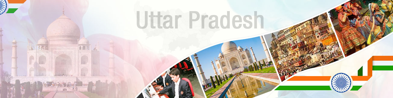 DBT Banner Image 1