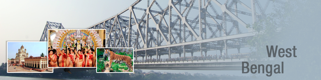 DBT Banner Image 1