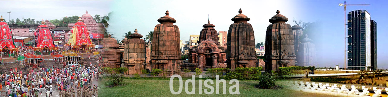 DBT Banner Image 1